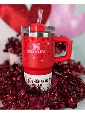 Stanley Target Exclusive Valentine’s Day 2025 Ruby Hearts 20oz H2O Tumbler